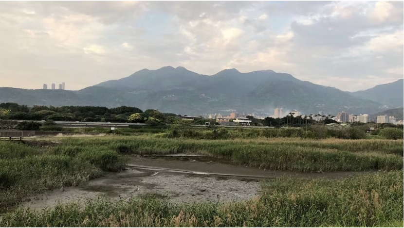 截圖 2025 11 17 上午10.21.46