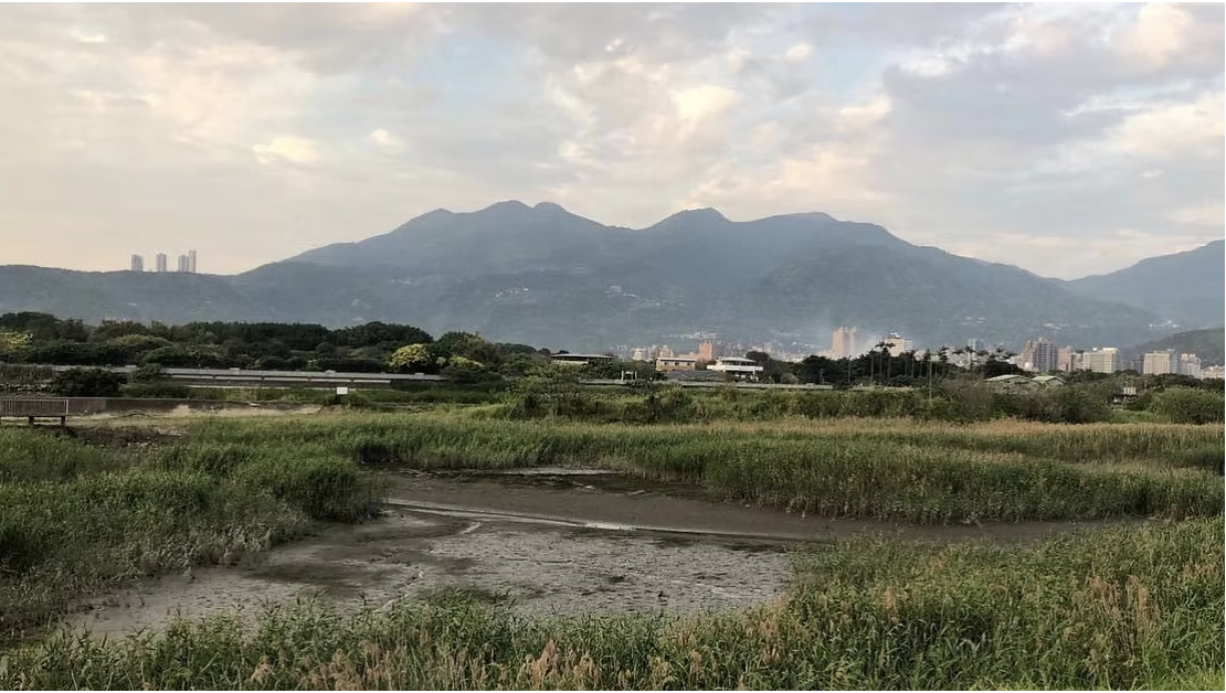 截圖 2025 11 17 上午10.21.46