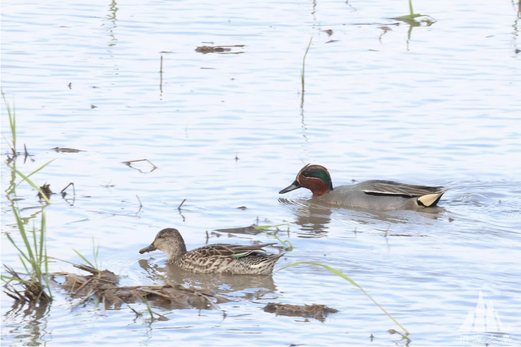 截圖 2025 11 17 上午10.22.15