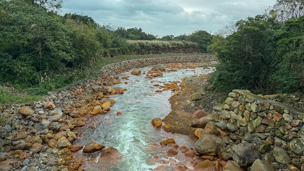 8e92ad badb465329a2419387e2e19713749ae9~mv2